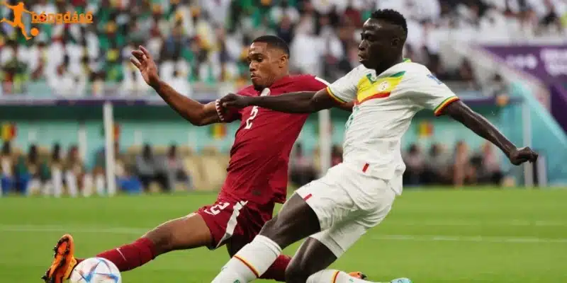 Phân tích kèo châu Âu trước trận Canada vs Qatar