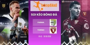 Tỷ lệ kèo Parma vs Torino - Serie A, 20/10/2026